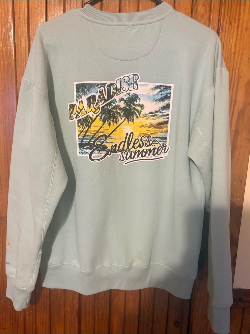 Free Planet women’s Crewneck Sweatshirt in Light Mint